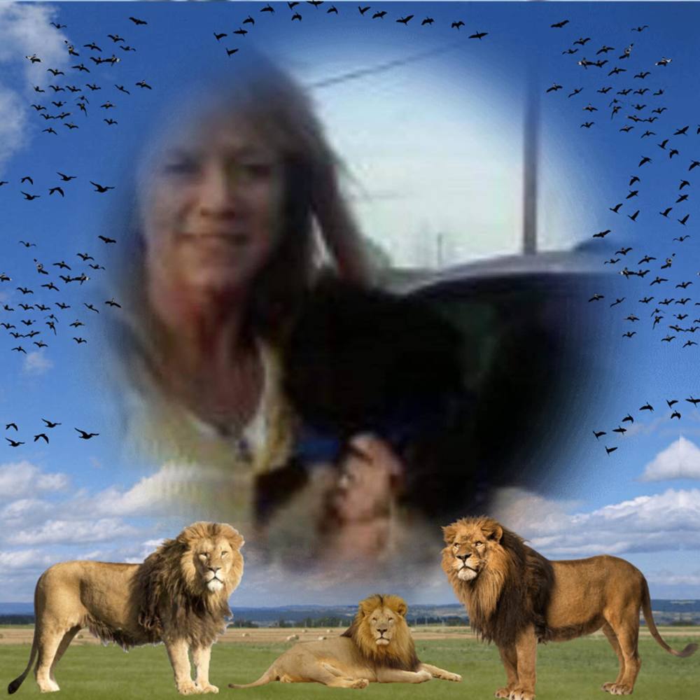 Meet your Posher, Debbie Craig Campbell